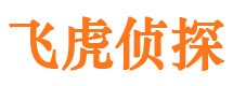 静海市侦探调查公司